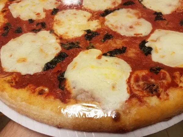 Pizza de queso mozzarella y salsa de tomate en plástico —  Fotos de Stock