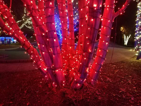 Luzes de férias vermelhas no tronco da árvore ou ramos — Fotografia de Stock