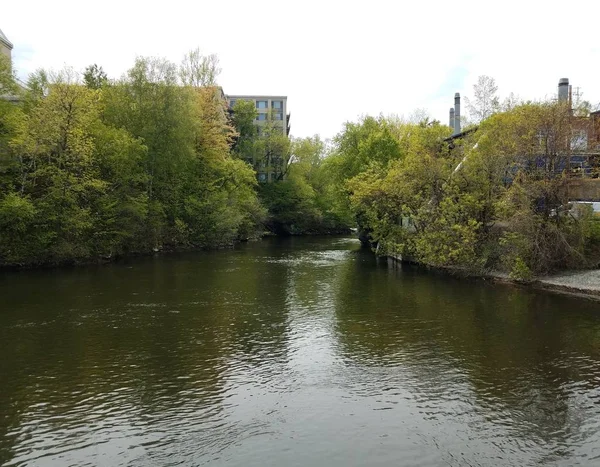 Aguas tranquilas del río o arroyo y árboles con edificios — Foto de Stock