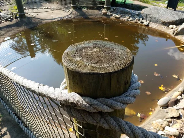 Poteau en bois avec corde et eau stagnante — Photo