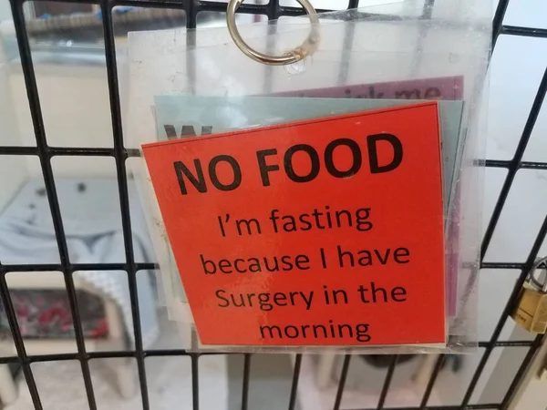 Orange no food fast because I have surgery sign on cage — 스톡 사진
