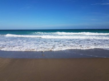 Okyanus dalgaları ve kumsalda ıslak kum ve kuş