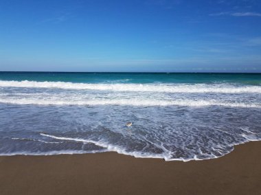 Okyanus dalgaları ve kumsalda ıslak kum ve kuş