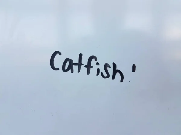Catfish written in black ink marker on white surface — стоковое фото
