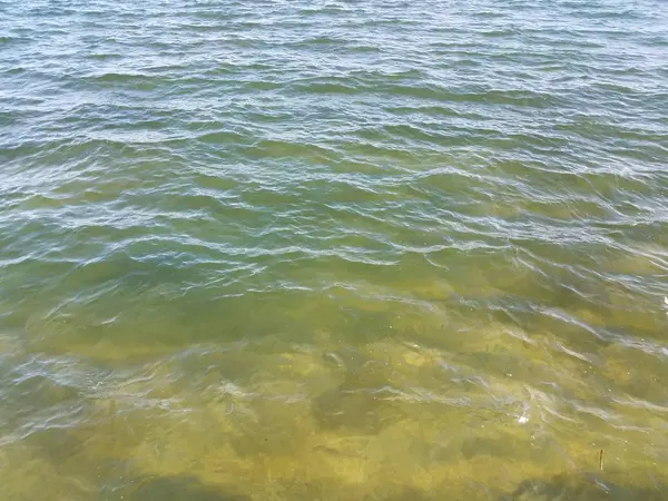 Blue and green ocean or lake or pond water — Φωτογραφία Αρχείου