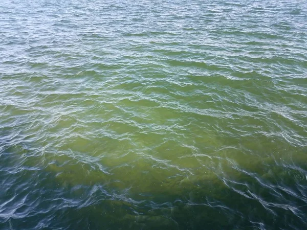 Waves in murky blue and green water in lake — Foto Stock