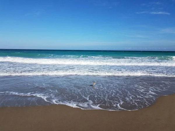 Ocean water with waves at beach or coast — ストック写真