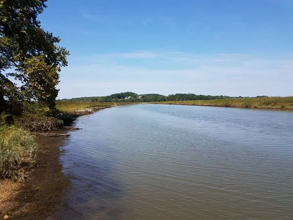 River or lake with plants and grasses and sky — Photo