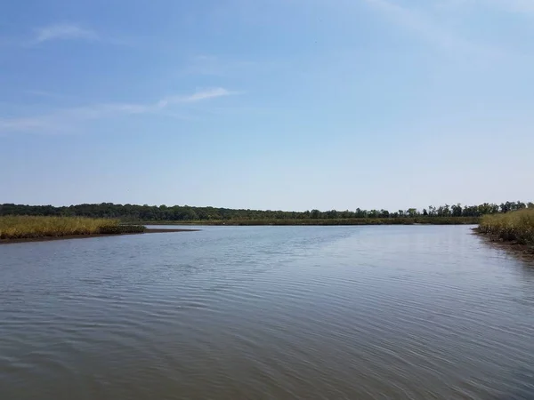 River or lake with plants and grasses and sky — Photo