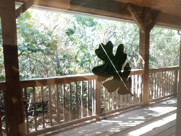 leaf on glass window pane with wood railing and deck