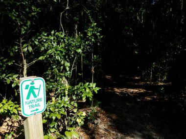 Yürüyüşçülerin, patikaların ve ağaçların izleri.