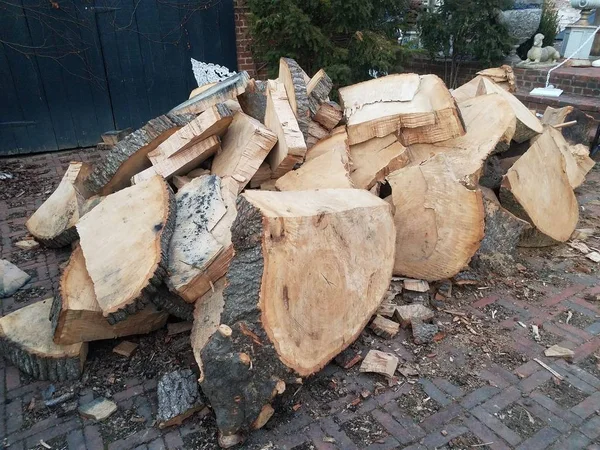 Tronc de bois de chauffage coupé ou coupé ou bûches de bois sur briques — Photo