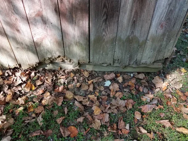 Beschadigde of gebroken houten wand en ondergrond met bladeren — Stockfoto