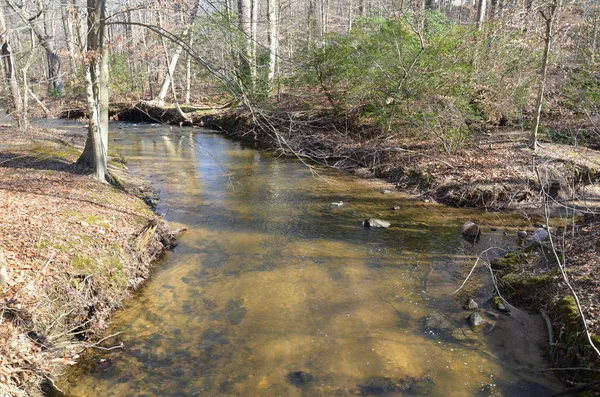 Río o arroyo en bosque o bosques con árboles — Foto de Stock