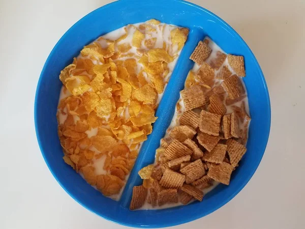 Blue plastic bowl with divider and with cereal and milk — Stockfoto