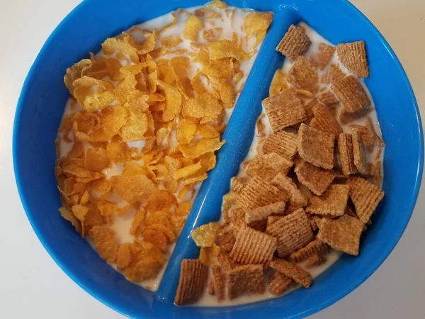 Blue plastic bowl with divider and with cereal and milk — 스톡 사진