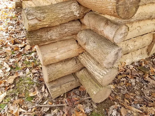 Esquina de la estructura de la cabina de madera con hojas marrones en el suelo — Foto de Stock