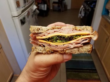 hand holding ham and cheese and lettuce sandwich