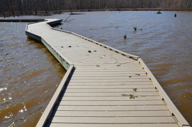 boardwalk in wetland with bird poop and water