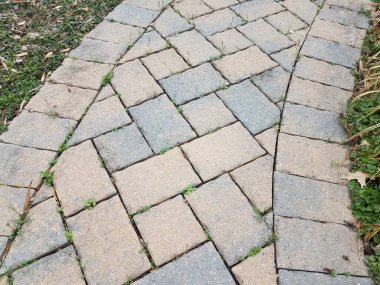 Pembe ve gri taştan otlu döşeme yolu