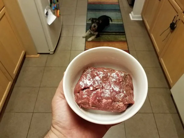 Holding bowl of raw red beef meat with dog in kitchen — Φωτογραφία Αρχείου