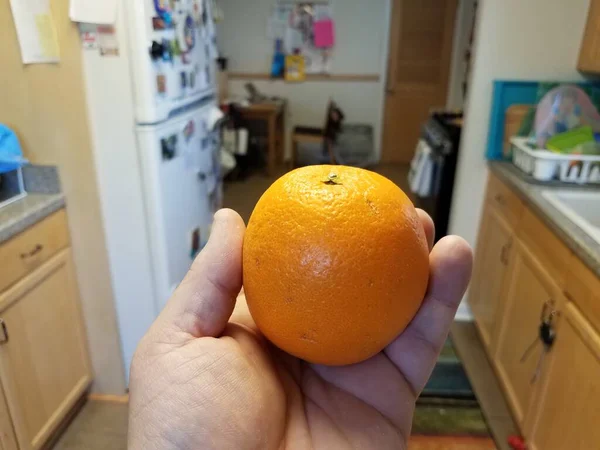 Hand holding orange citrus fruit in kitchen — Stok fotoğraf