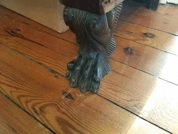 animal foot on black furniture with wood floor