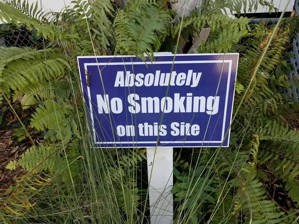 Blue absolutely no smoking sign with lizard and green plants — Stock Photo, Image