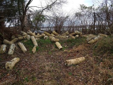 Eski metal direkler veya yerde çimento olan işaretler.