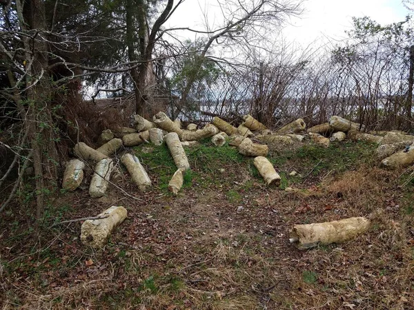 Eski metal direkler veya yerde çimento olan işaretler.