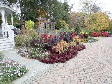 kırmızı bitkiler, çiçekler ve tuğla patika