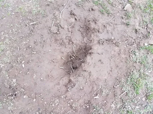 Buraco na sujeira ou lama com raízes no quintal — Fotografia de Stock