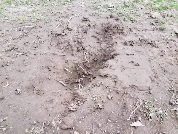 Buraco na sujeira ou lama com raízes no quintal — Fotografia de Stock