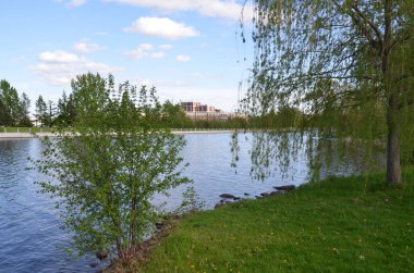 Nehir ya da göl suyu ve yeşil çimen ve bina