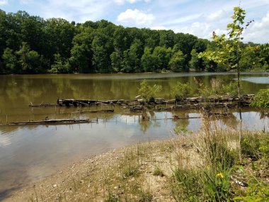 Nehirdeki eski tekne ya da gemi enkazı