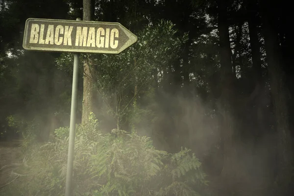Старая вывеска с текстом черной магии возле зловещего леса — стоковое фото