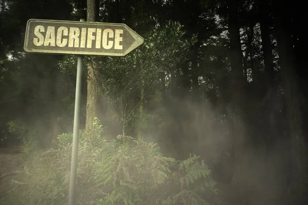 Vieille enseigne avec sacrifice de texte près de la sinistre forêt — Photo