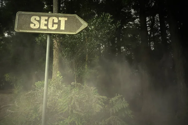 Placa velha com seita de texto perto da floresta sinistra — Fotografia de Stock