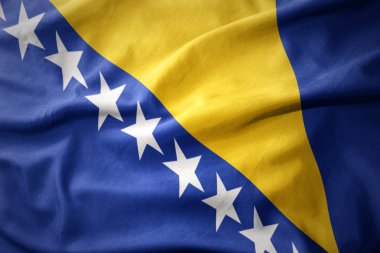 Bosna ve Hersek renkli bayrak sallayarak.