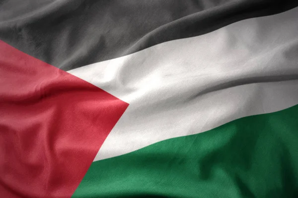 팔레스타인의 화려한 깃발을 흔들며. — 스톡 사진