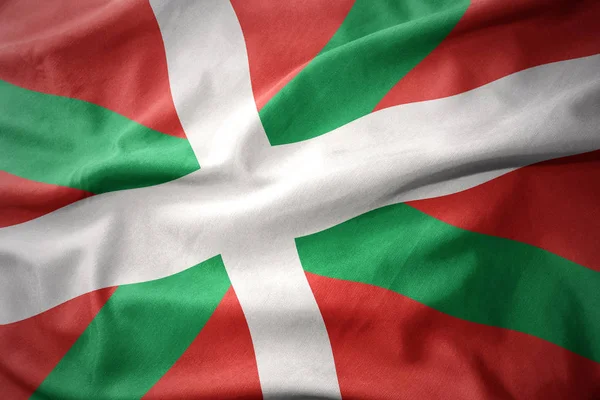 バスク地方のカラフルな旗を振ってください。. — ストック写真