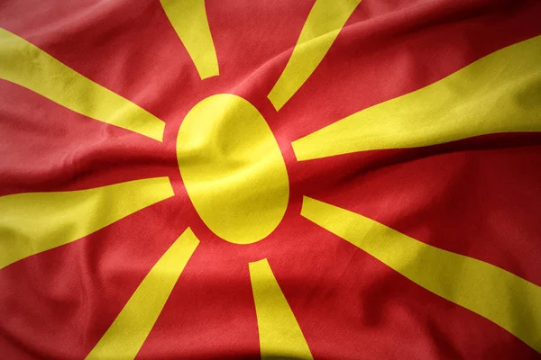 Розмахував прапором барвисті Македонії. — стокове фото