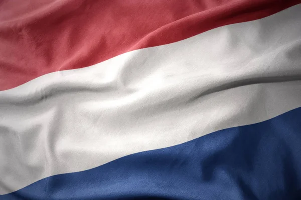 Melambaikan warna-warni bendera netherlands . — Stok Foto