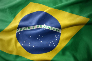 waving colorful flag of brazil. clipart