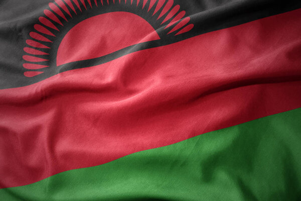 waving colorful flag of malawi.