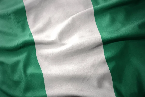 ナイジェリアのカラフルな旗を振ってください。. — ストック写真