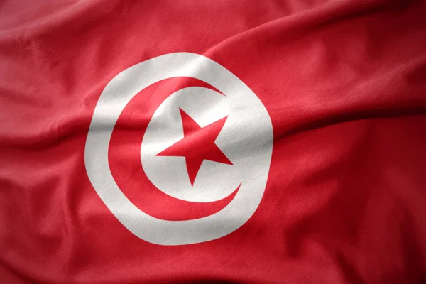 Waving colorful flag of tunisia. — Stock Photo, Image