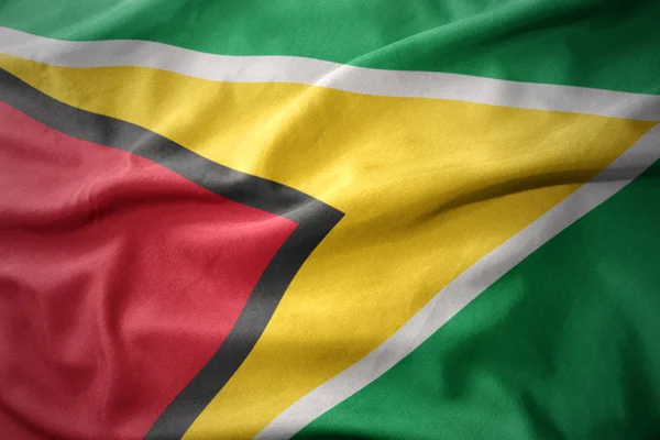 ガイアナのカラフルな旗を振ってください。. — ストック写真