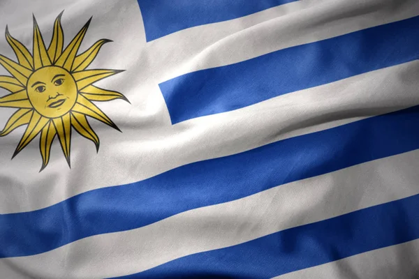 Agitant drapeau coloré de uruguay . — Photo