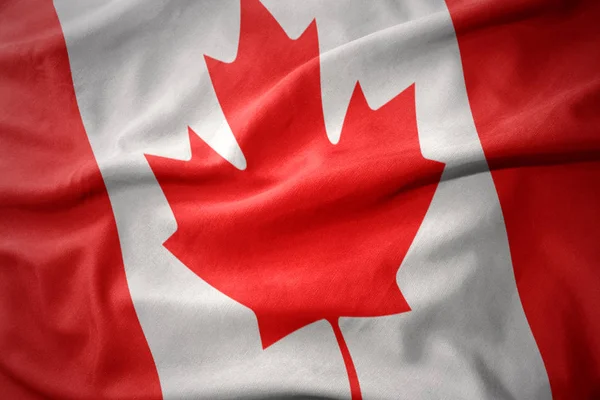 Renkli Kanada bayrağı sallayarak. — Stok fotoğraf